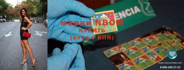 ГАЛЛЮЦИНОГЕННЫЕ ГРИБЫ Щучье