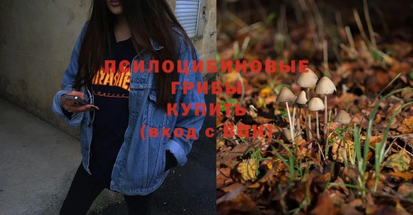 ГАЛЛЮЦИНОГЕННЫЕ ГРИБЫ Карпинск