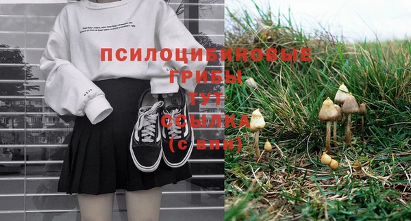 ГАЛЛЮЦИНОГЕННЫЕ ГРИБЫ Карпинск