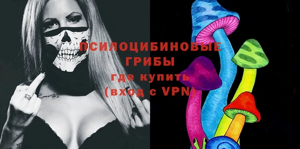 ГАЛЛЮЦИНОГЕННЫЕ ГРИБЫ Карпинск