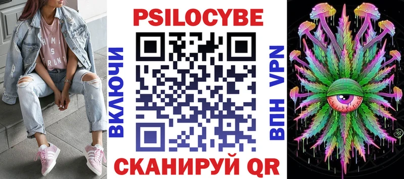 Псилоцибиновые грибы мухоморы  где купить наркоту  Элиста 