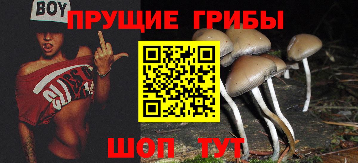 Псилоцибиновые грибы MAGIC MUSHROOMS Элиста