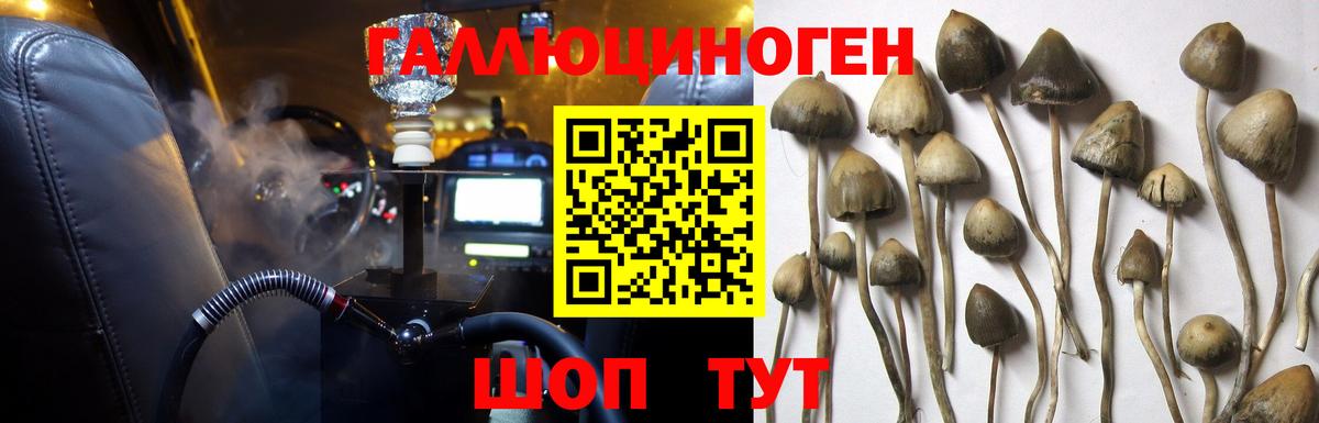 Галлюциногенные грибы мухоморы  Галлюциногенные грибы прущие грибы  Вход с VPN  Элиста 